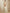 Lehenga Mart Glamorous Designer Lehenga Choli for Bridal and Bridesmaids Wedding Wear Choli - Distacart