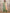 Vishudh Green Ethnic Motifs Yoke Design Thread Work Straight Kurta With Palazzos & Dupatta