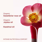 Thumbnail for Clarins Lip Comfort Oil - 01 Honey