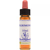 Healing Herbs Agrimony - Distacart
