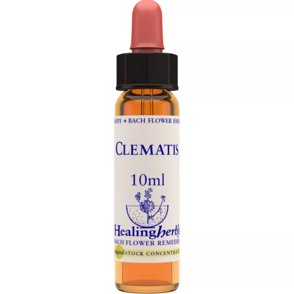 Healing Herbs Clematis - Distacart
