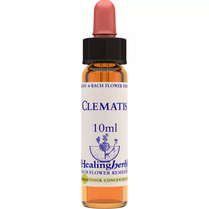 Healing Herbs Clematis - Distacart