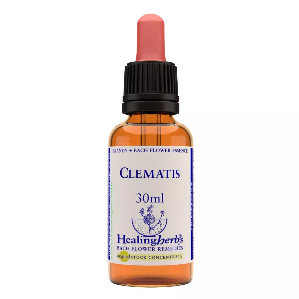 Healing Herbs Clematis - Distacart