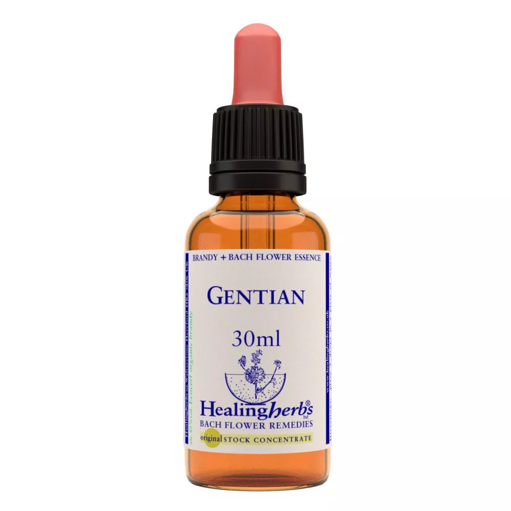 Healing Herbs Gentian - Distacart