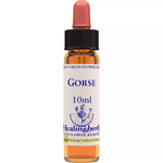 Thumbnail for Healing Herbs Gorse - Distacart