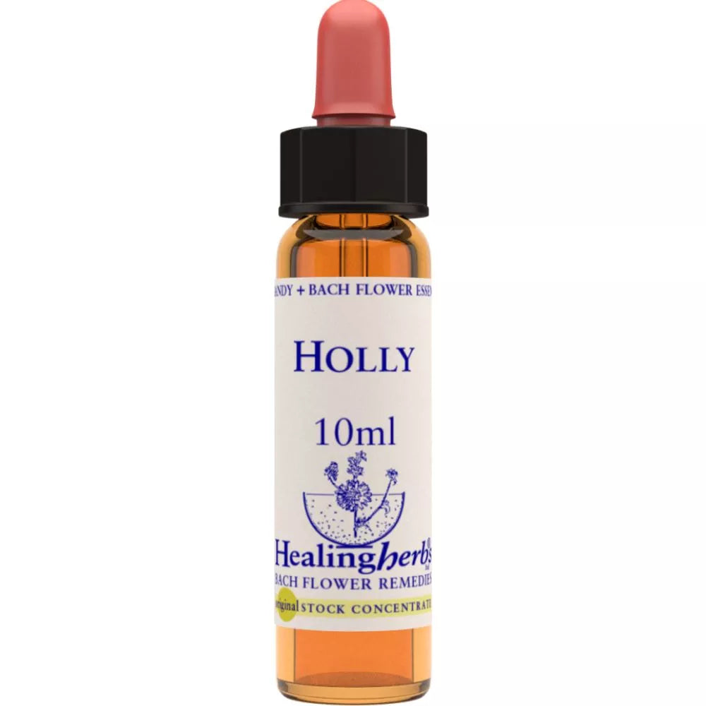 Healing Herbs Holly - Distacart