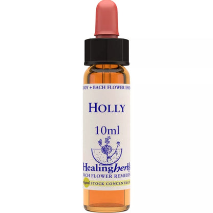 Healing Herbs Holly - Distacart