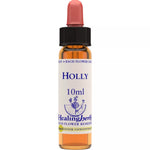 Thumbnail for Healing Herbs Holly - Distacart