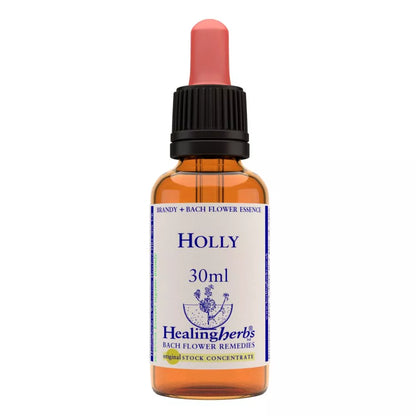 Healing Herbs Holly - Distacart