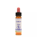 Thumbnail for Healing Herbs Larch - Distacart