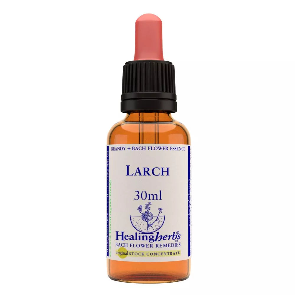 Healing Herbs Larch - Distacart