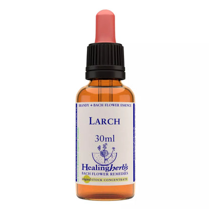 Healing Herbs Larch - Distacart