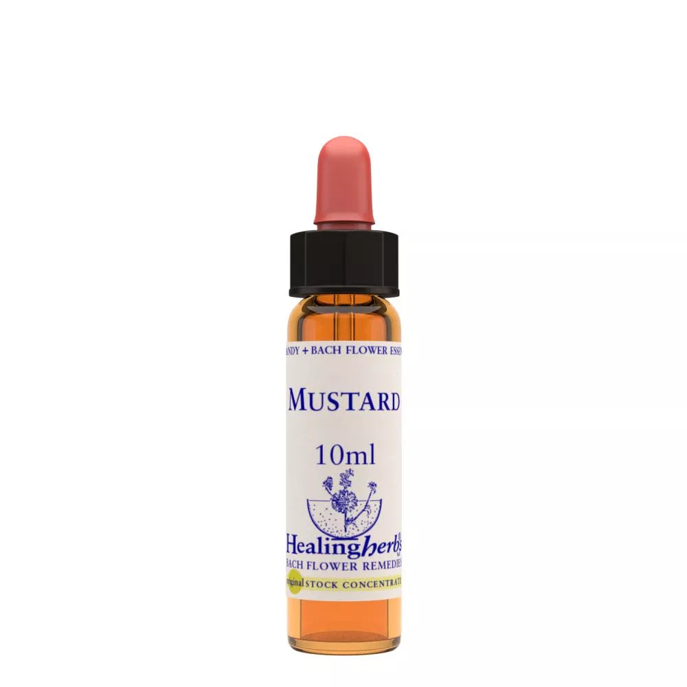 Healing Herbs Mustard - Distacart