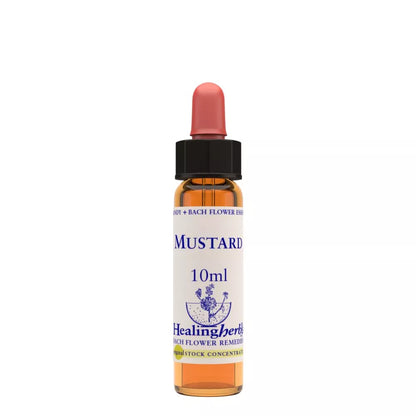 Healing Herbs Mustard - Distacart