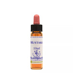 Thumbnail for Healing Herbs Mustard - Distacart