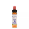 Healing Herbs Mustard - Distacart