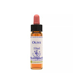 Thumbnail for Healing Herbs Olive - Distacart