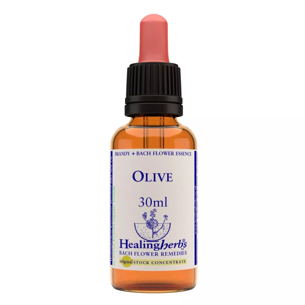 Healing Herbs Olive - Distacart