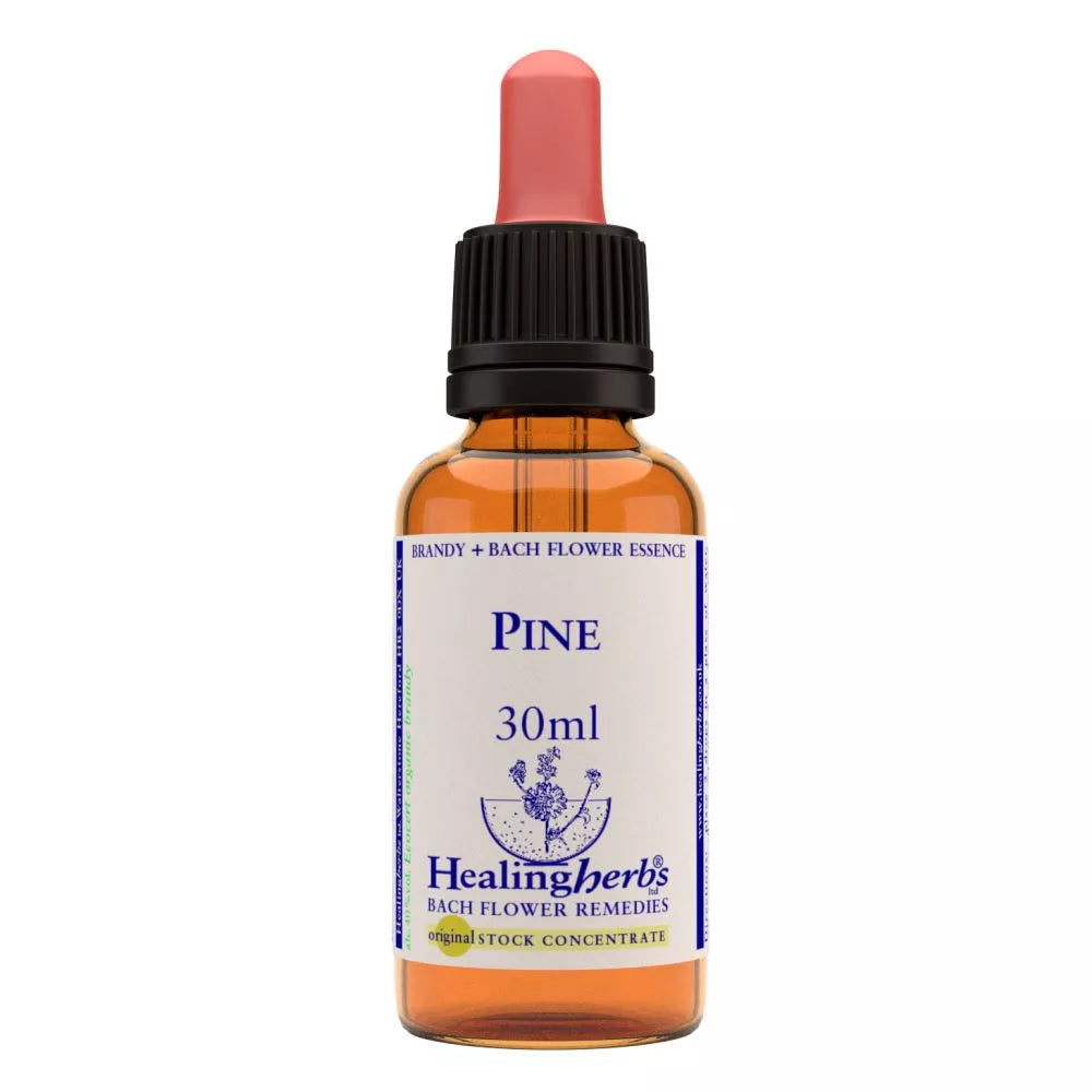Healing Herbs Pine - Distacart