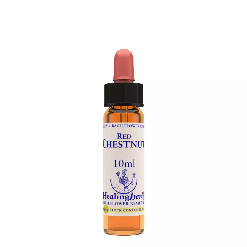 Healing Herbs Red Chestnut - Distacart