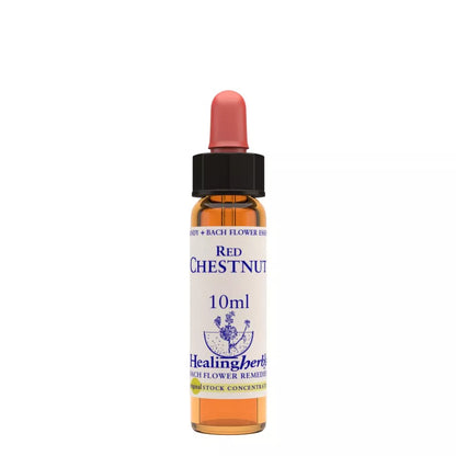 Healing Herbs Red Chestnut - Distacart