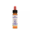 Healing Herbs Red Chestnut - Distacart