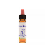 Thumbnail for Healing Herbs Rock Rose - Distacart