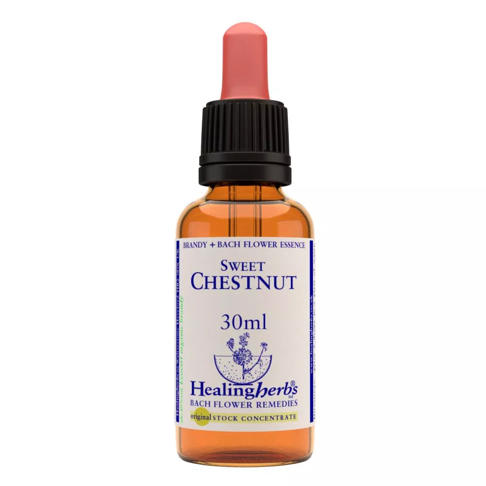 Healing Herbs Sweet Chestnut - Distacart