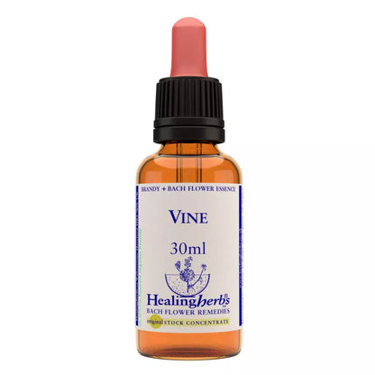 Healing Herbs Vine - Distacart