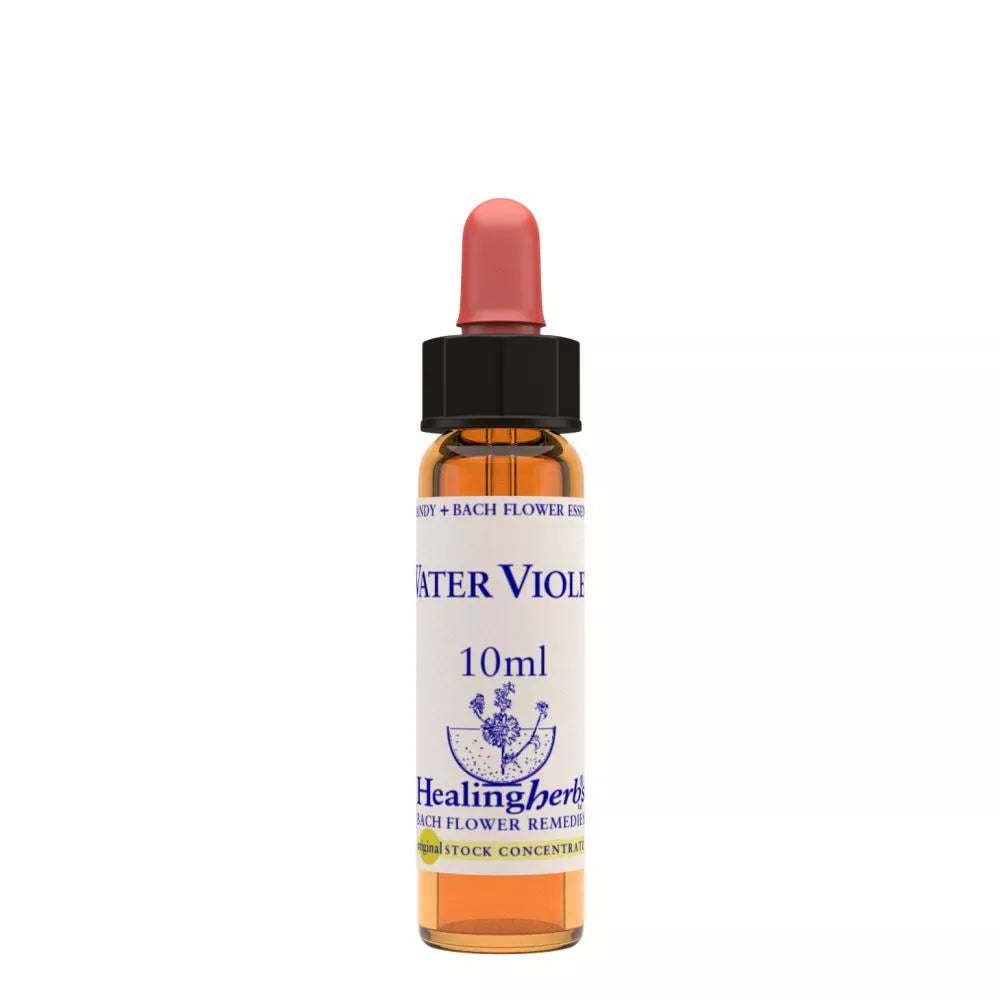 Healing Herbs Water Violet - Distacart