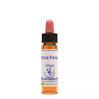 Healing Herbs Water Violet - Distacart