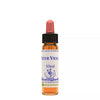 Healing Herbs Water Violet - Distacart