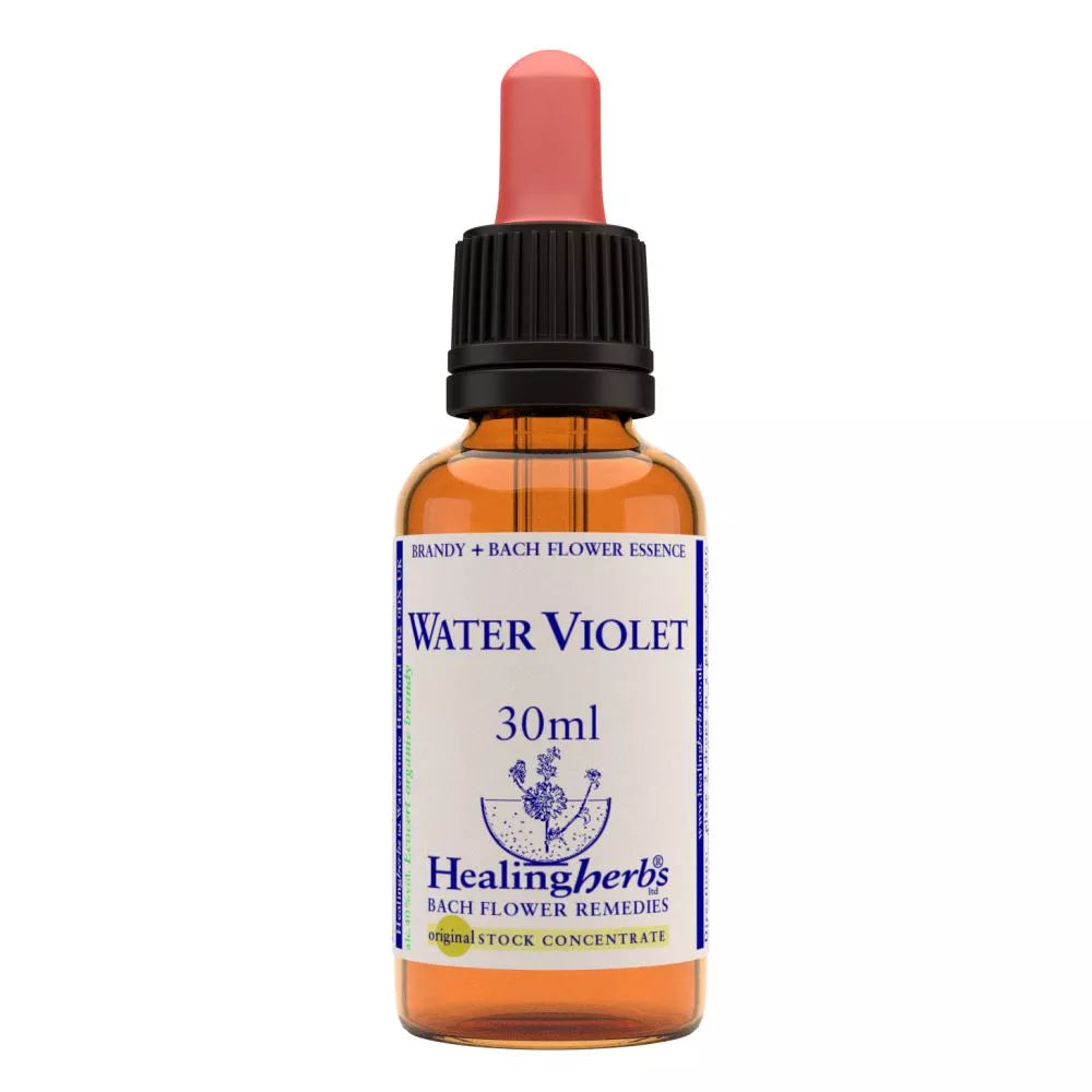 Healing Herbs Water Violet - Distacart