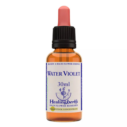 Healing Herbs Water Violet - Distacart