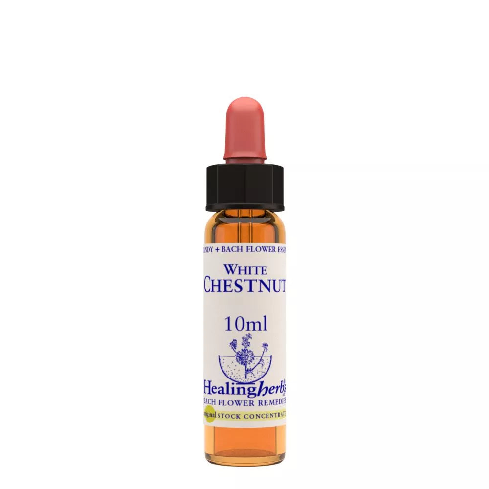 Healing Herbs White Chestnut - Distacart