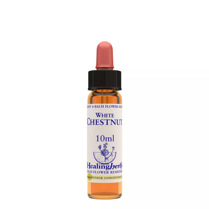 Healing Herbs White Chestnut - Distacart