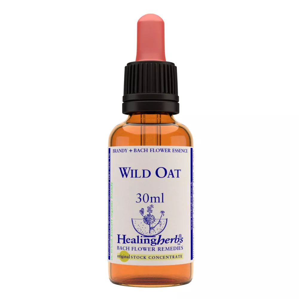 Healing Herbs Wild Oat - Distacart