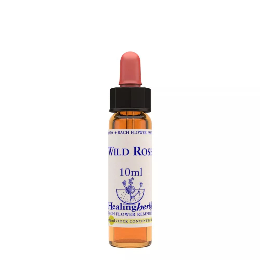 Healing Herbs Wild Rose - Distacart