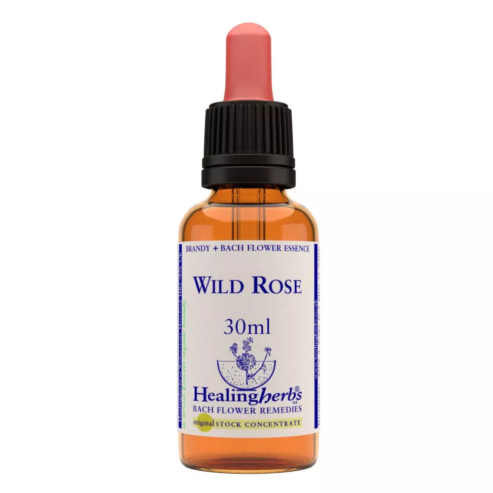 Healing Herbs Wild Rose - Distacart