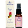 Healing Herbs Exam Spray - Distacart