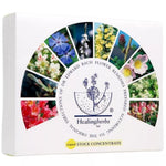 Thumbnail for Healing Herbs Bach Flower Remedies Kit (40X10ml) - Distacart
