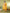 Myshka Women's Cotton Yellow Printed Kurta Set With Dupatta