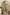 Myshka Green Silk Blend Straight Round Neck Three-Quarter Sleeves Kurta Trousers Set