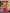 Evanik Orange and Magenta Chinon Silk with Embroidered and Sequence work Palazzo Suit