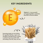 Thumbnail for Naturica Repairing Deep Treatment for Damaged Hair, Detangle with Olive Oil & Vitamin E Formula - Distacart