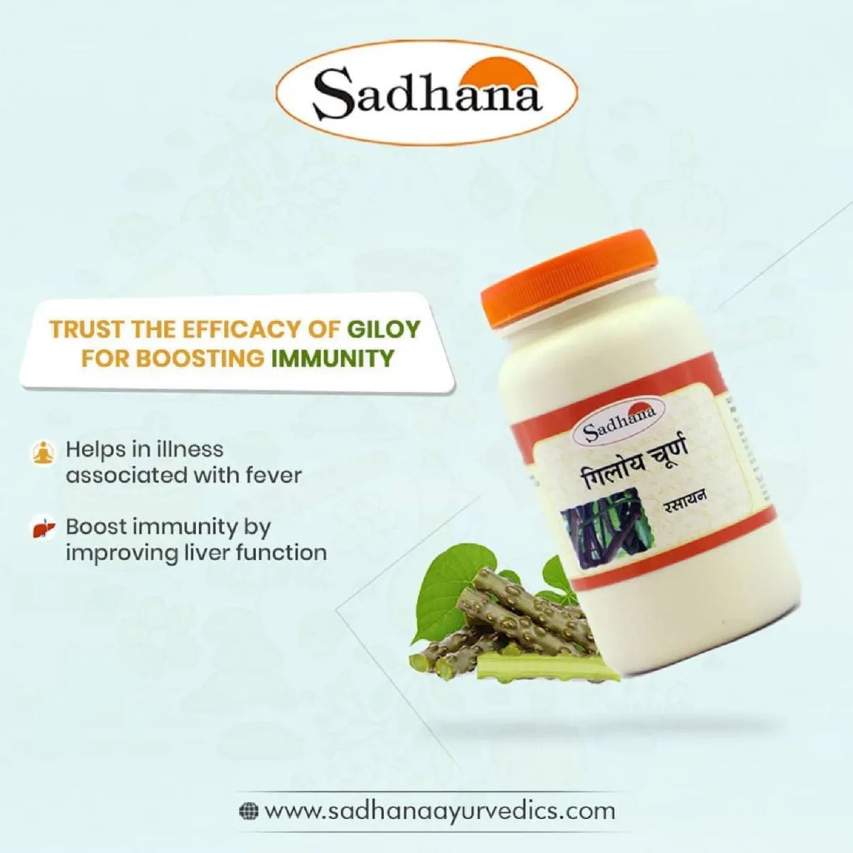 Sadhana Giloy Powder - Distacart