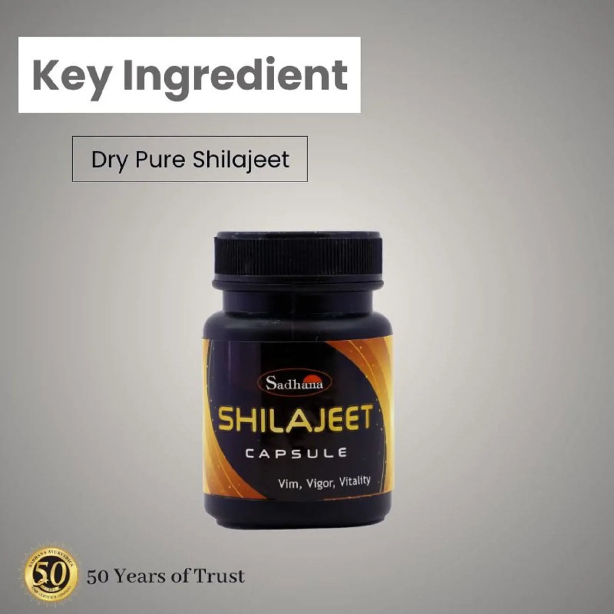 Sadhana Shilajeet Capsules - Distacart