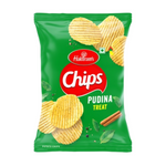 Thumbnail for Haldiram's Pudina Treat Chips - Distacart