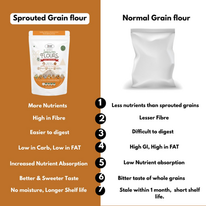 NIHKAN Sprouted Multi 7 Lentils High Protein Flour - Dista