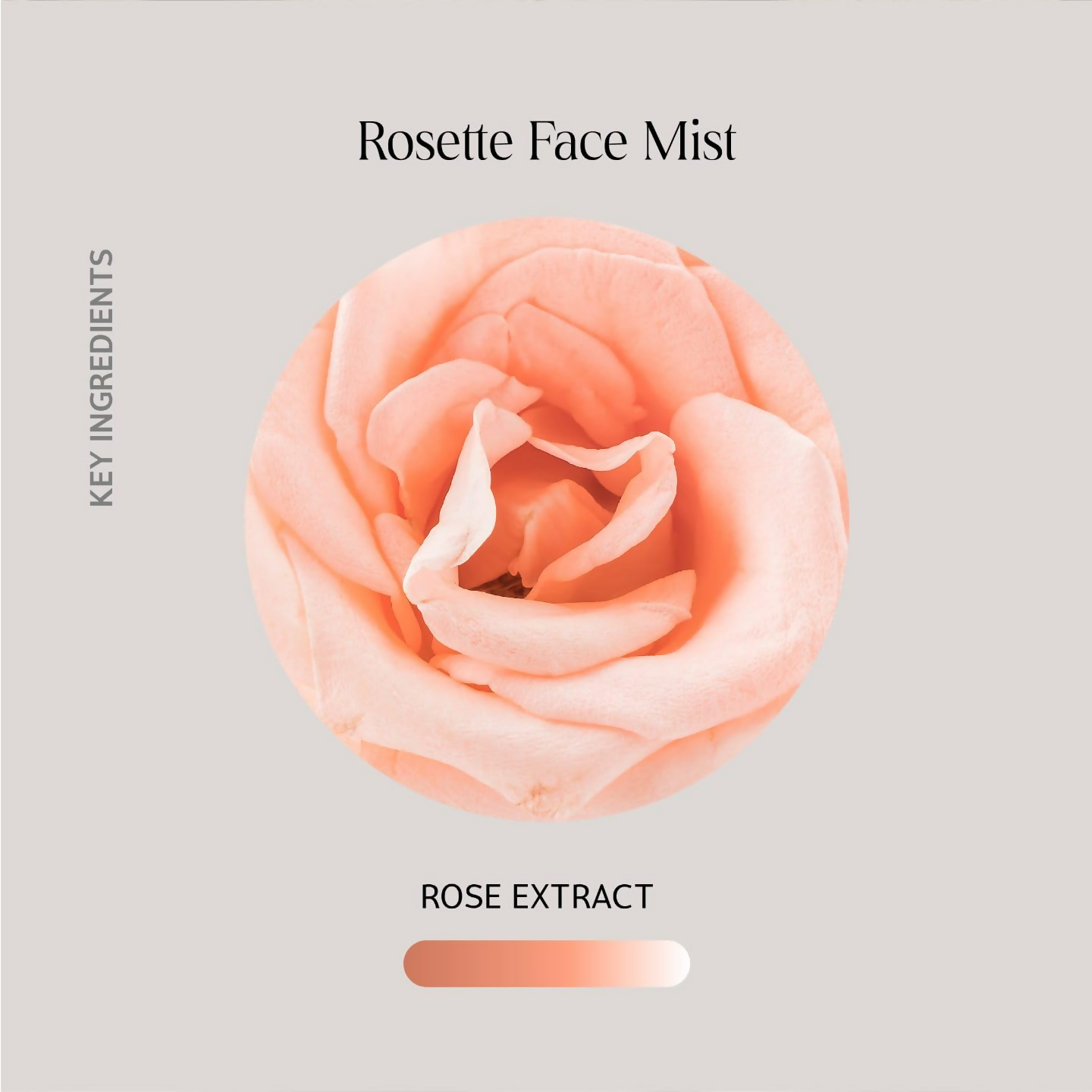 Oteria Luxury Rosette Face Mist Toner with Rose Water & Hyaluronic Acid, Toning Solution For Glowing Skin - Distacart